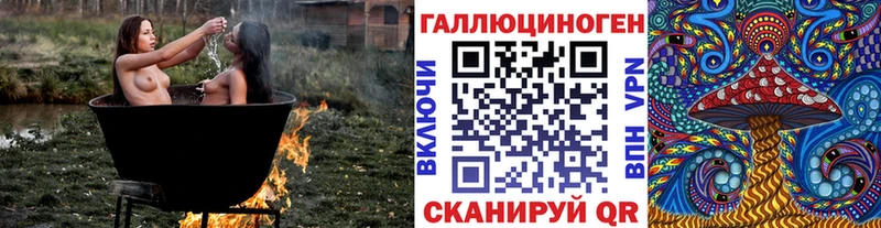 MEGA рабочий сайт  где продают наркотики  Сокол  Галлюциногенные грибы мицелий 